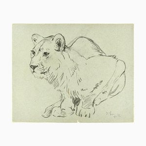 Crouched Lioness and Rabbits - Original Pencil Drawing by Willy Lorenz - 1971 1971-ZCI-758948