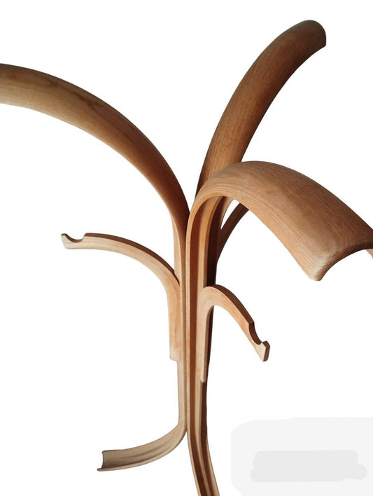 Curved Ash Coat Hanger by Offredi Giovanni for Crassevig, 1970s