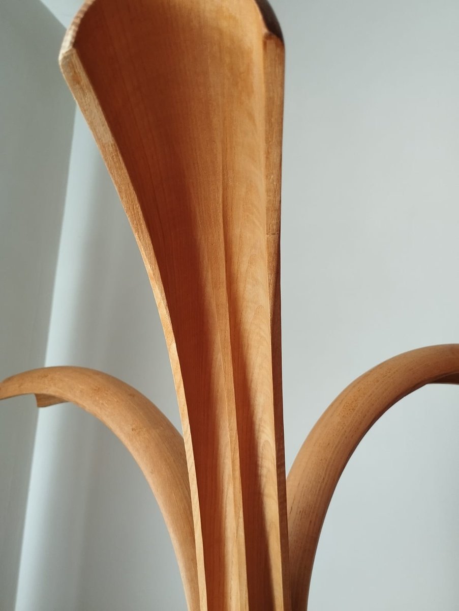 Curved Ash Coat Hanger by Offredi Giovanni for Crassevig, 1970s