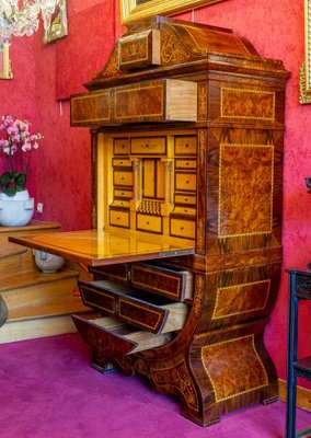 Curved Biedermeier Secretaire in Rosewood & Lemon Tree, 1835-1840-UQL-1069062