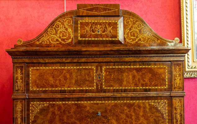 Curved Biedermeier Secretaire in Rosewood & Lemon Tree, 1835-1840-UQL-1069062