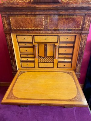 Curved Biedermeier Secretaire in Rosewood & Lemon Tree, 1835-1840-UQL-1069062