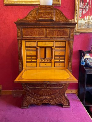 Curved Biedermeier Secretaire in Rosewood & Lemon Tree, 1835-1840-UQL-1069062