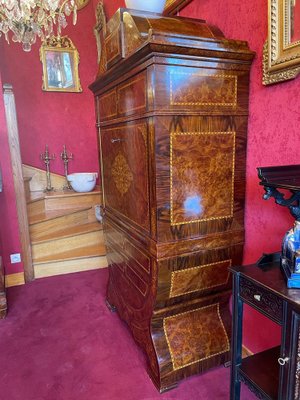 Curved Biedermeier Secretaire in Rosewood & Lemon Tree, 1835-1840-UQL-1069062