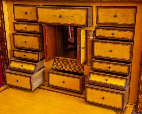 Curved Biedermeier Secretaire in Rosewood & Lemon Tree, 1835-1840-UQL-1069062