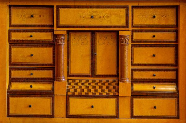 Curved Biedermeier Secretaire in Rosewood & Lemon Tree, 1835-1840-UQL-1069062