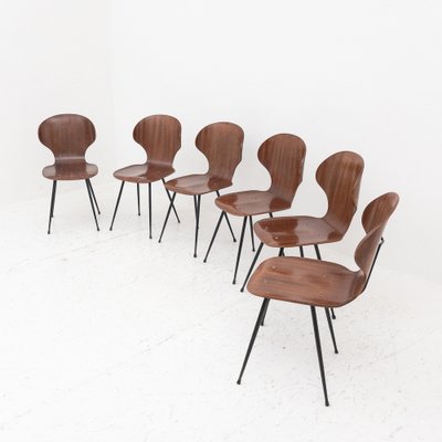 Curved Wooden Chairs Model Lulli by Carlo Ratti for Industria Legni Curvati, Italy, 1950s, Set of 6-UPW-1741706