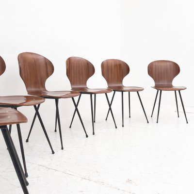 Curved Wooden Chairs Model Lulli by Carlo Ratti for Industria Legni Curvati, Italy, 1950s, Set of 6-UPW-1741706