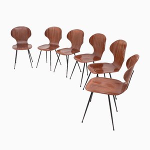 Curved Wooden Chairs Model Lulli by Carlo Ratti for Industria Legni Curvati, Italy, 1950s, Set of 6-UPW-1741706