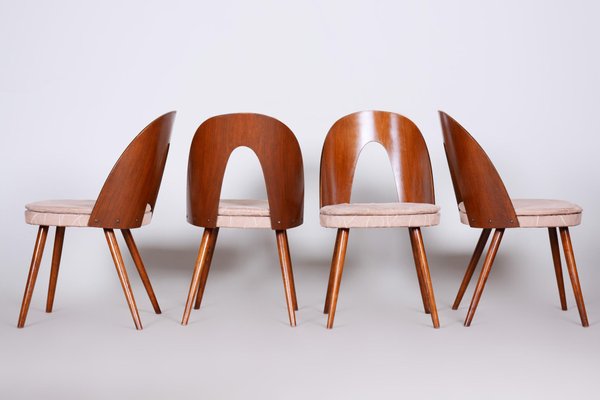 Czech Brown and Beige Chairs by Antonín Šuman, 1950s, Set of 4-WHY-955553