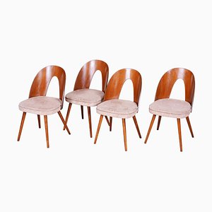 Czech Brown and Beige Chairs by Antonín Šuman, 1950s, Set of 4-WHY-955553