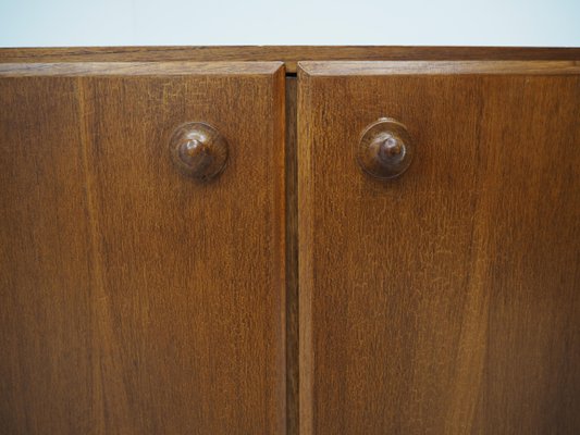 Czech Teak and Oak Cabinet by Krasna Jizba, 1960s-TZ-1079014