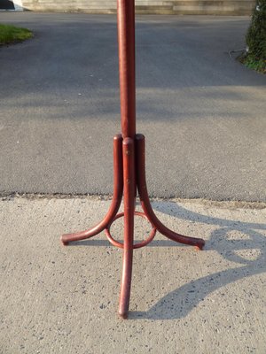 Czechoslovakia Bentwood Coat Rack from Ligna-AWL-913003