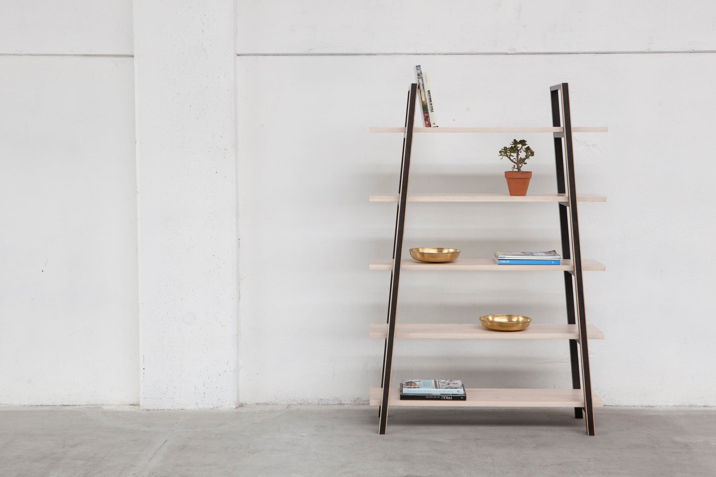 Dahlia Bookshelf by Alexander Mueller for Universal E C. S.r.l..