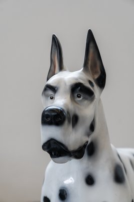 Dalmatian Dog in Resin, 1970s-KNM-1010186