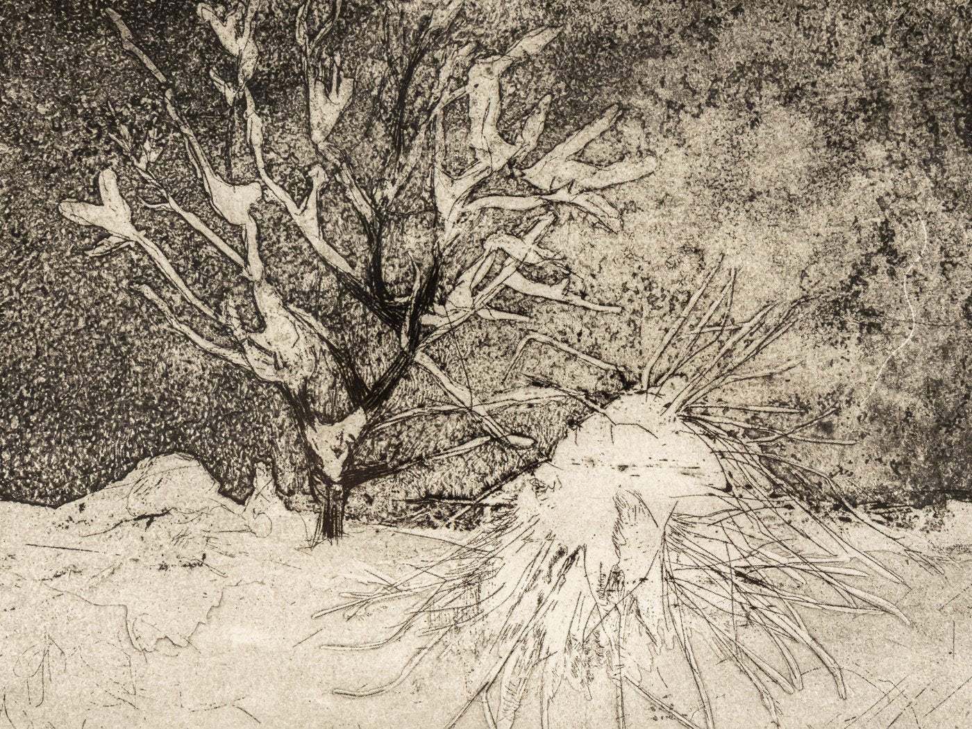 Danièle Fuchs, Neige, Black and White Etching on Paper, Framed