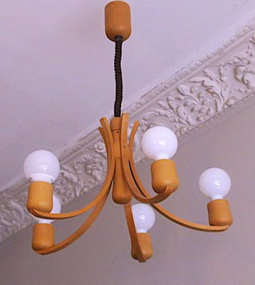 Danish Adjustable Chandelier with 5 Arms, 1970s-ED-1800935