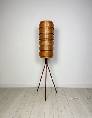 Danish Bent Teakwood Floor Lamp, 1960s-XCQ-1744358