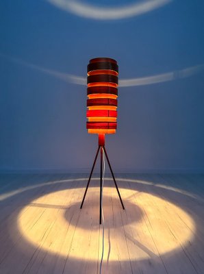 Danish Bent Teakwood Floor Lamp, 1960s-XCQ-1744358