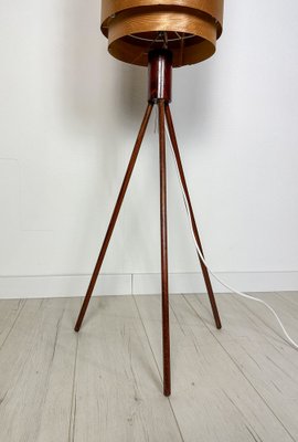 Danish Bent Teakwood Floor Lamp, 1960s-XCQ-1744358