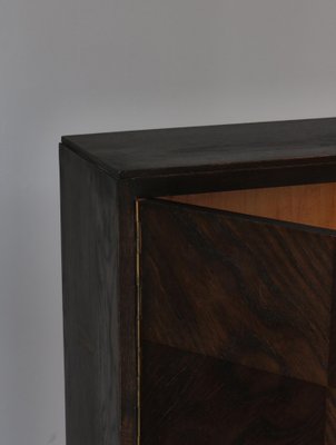 Danish Functionalist Cabinet / Shelving Unit in Dark Stained Oak, 1930s-WRF-1791941