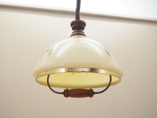 Danish Pendant Lamp, 1970s-VND-1789821