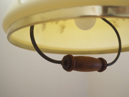 Danish Pendant Lamp, 1970s-VND-1789821