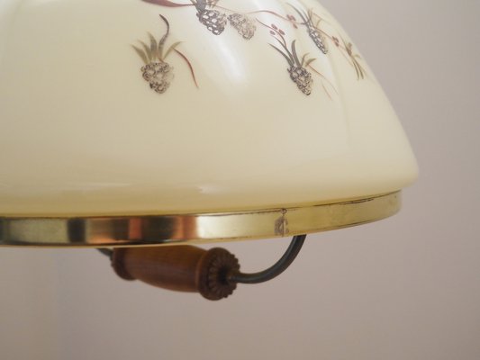 Danish Pendant Lamp, 1970s-VND-1789821