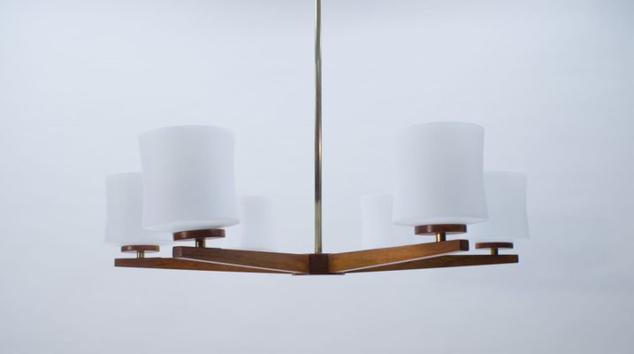 Danish Teak and Opaline Glass Ceiling Lamp, 1960s-KQB-581139