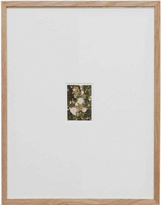 David Urbano, The Rose Garden Nº 32, 2017, Giclée Print-WM-1291544