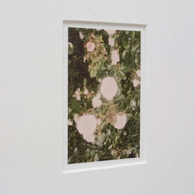 David Urbano, The Rose Garden Nº 32, 2017, Giclée Print-WM-1291544