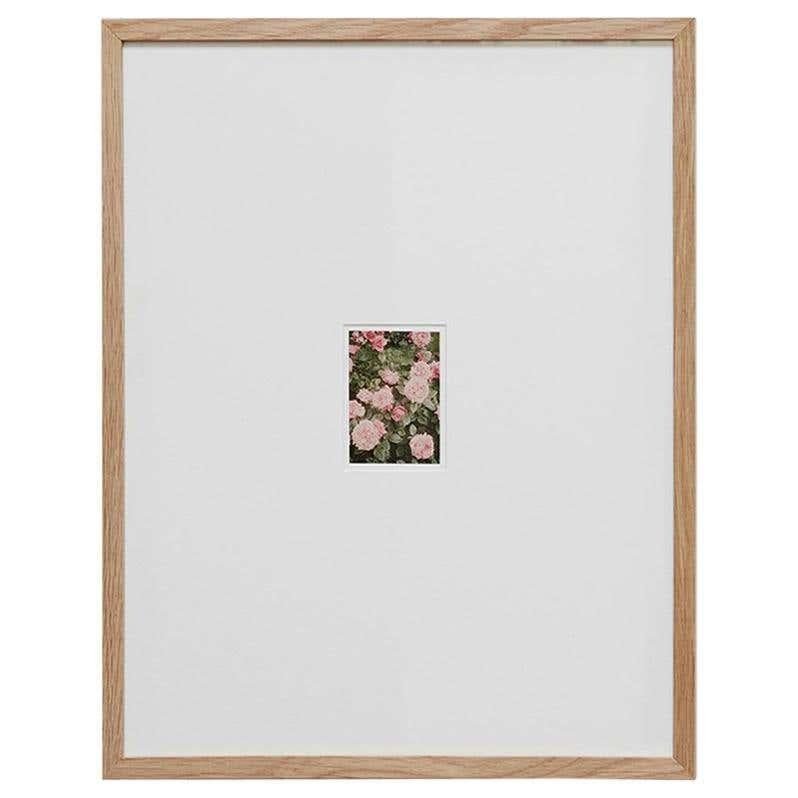 David Urbano, The Rose Garden No. 14, 2017, Giclée Print, Framed