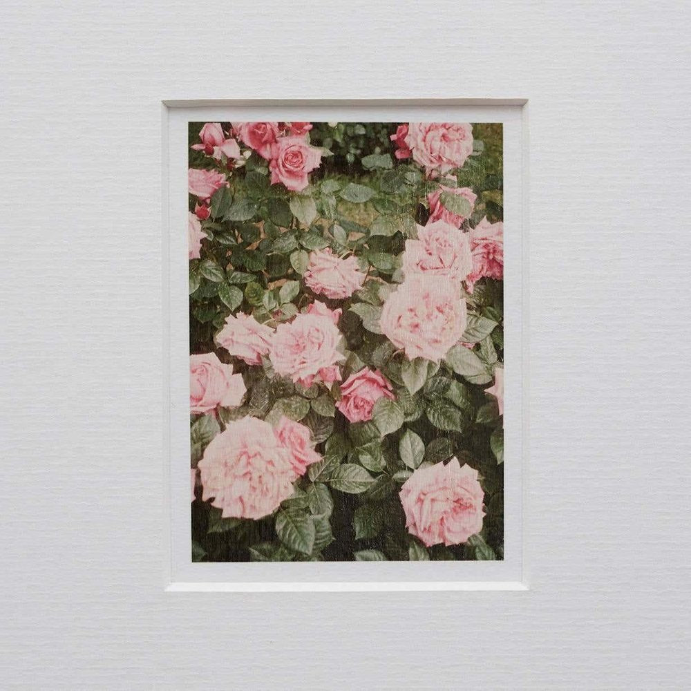 David Urbano, The Rose Garden No. 14, 2017, Giclée Print, Framed