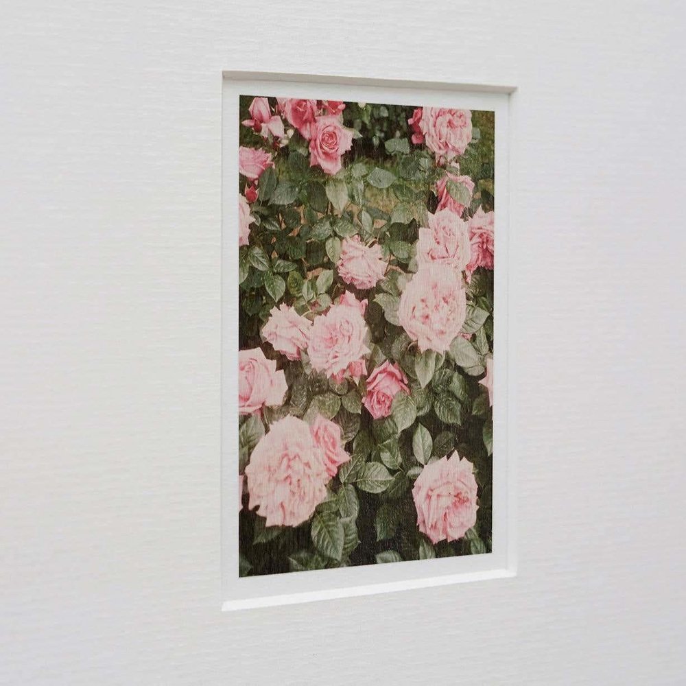 David Urbano, The Rose Garden No. 14, 2017, Giclée Print, Framed