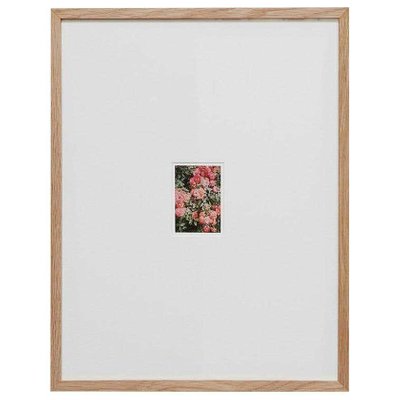 David Urbano, The Rose Garden No. 47, 2017, Photographic Giclee Print, Framed-WM-1419172