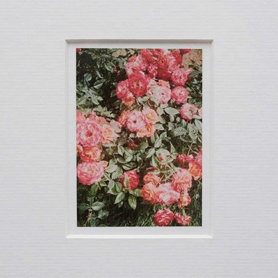 David Urbano, The Rose Garden No. 47, 2017, Photographic Giclee Print, Framed-WM-1419172