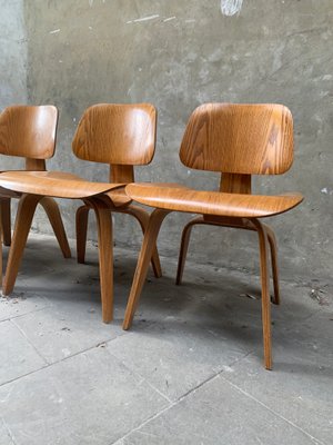 DCW Dining Chairs in Ash by Charles & Ray Eames for Herman Miller, 1940s, Set of 4-ZM-1314515