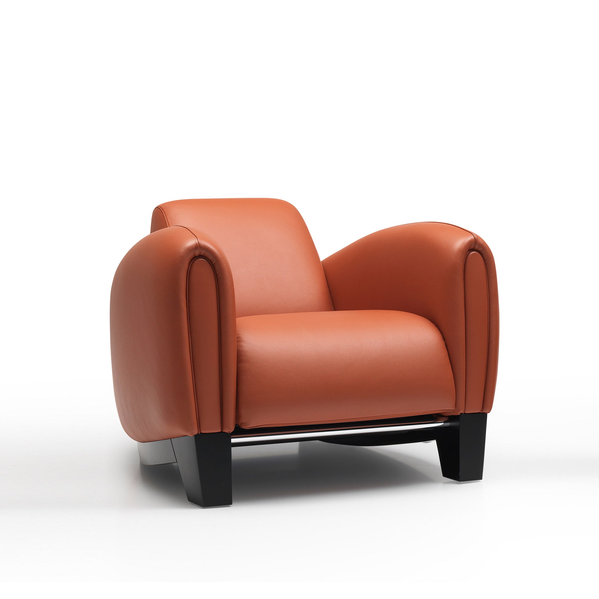 Ds-57 - Leather Armchair by De Sede