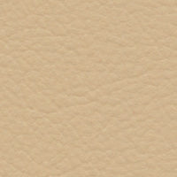 Desert Lark (FE4053)