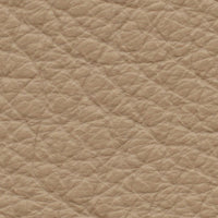 Desert Prince (DE230)