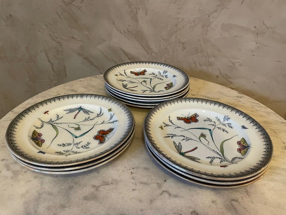 Dessert Porcelain Plates from Pinder Bourne and Co, 1880s, Set of 11