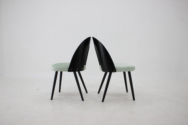 Dining Chairs by Antonin Suman, 1960s, Set of 4-TZ-1008938