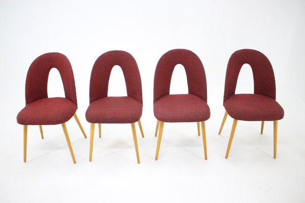 Dining Chairs by Antonin Suman, Czechoslovakia, 1960s, Set of 4-TZ-1111251