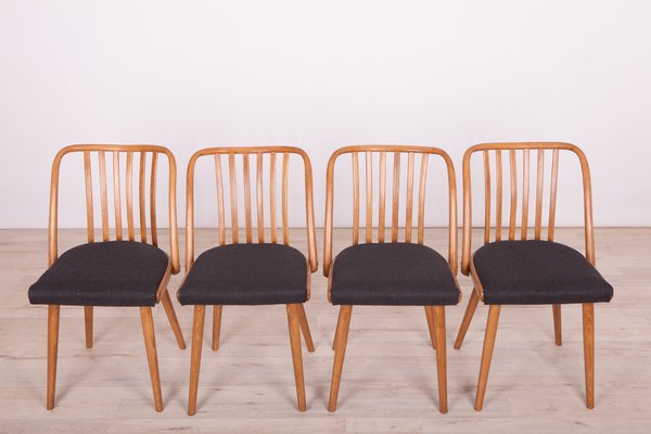 Dining Chairs by Antonín Šuman for TON, 1960s, Set of 4-NIT-560806