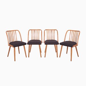 Dining Chairs by Antonín Šuman for TON, 1960s, Set of 4-NIT-560806