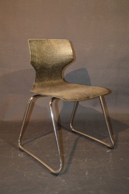 Dining Chairs by Elmar Flötotto for Pagholz Flötotto, 1970s, Set of 4-ZKR-2031592