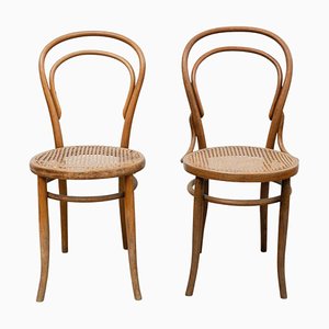 Dining Chairs in the style of Thonet, 1930s, Set of 2-WM-1323614