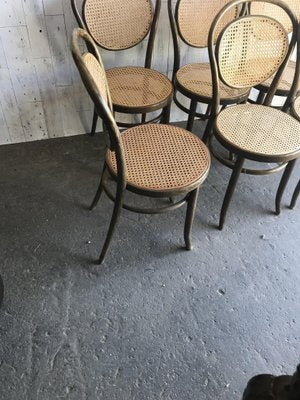 Dining Chairs in Wood Cane, Germany, 1960s, Set of 6-OXJ-995135