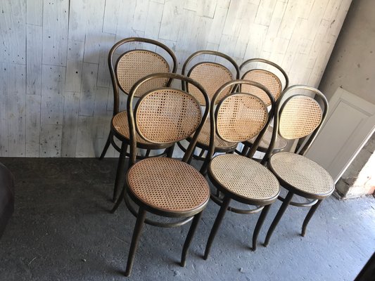 Dining Chairs in Wood Cane, Germany, 1960s, Set of 6-OXJ-995135