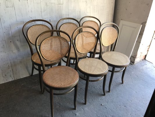 Dining Chairs in Wood Cane, Germany, 1960s, Set of 6-OXJ-995135